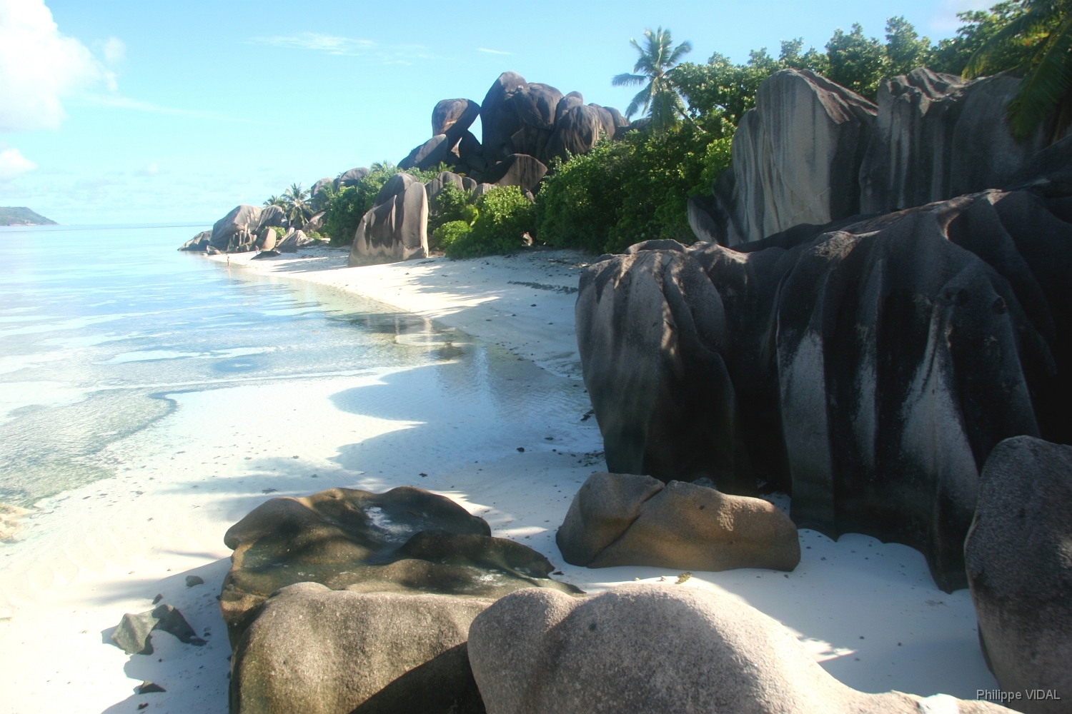 IMG_2153_rf_LA DIGUE_ANSE SOURCE D'ARGENT.jpg